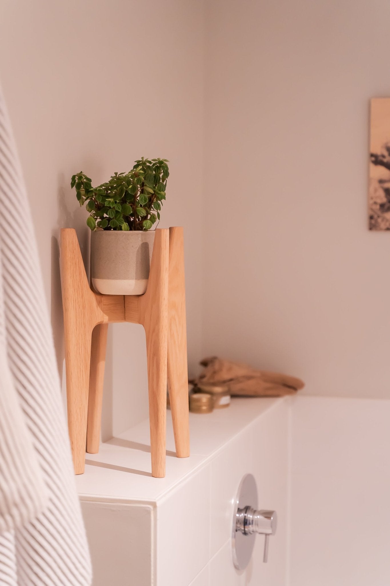 Mid Century Modern Plant Stand - Red Oak