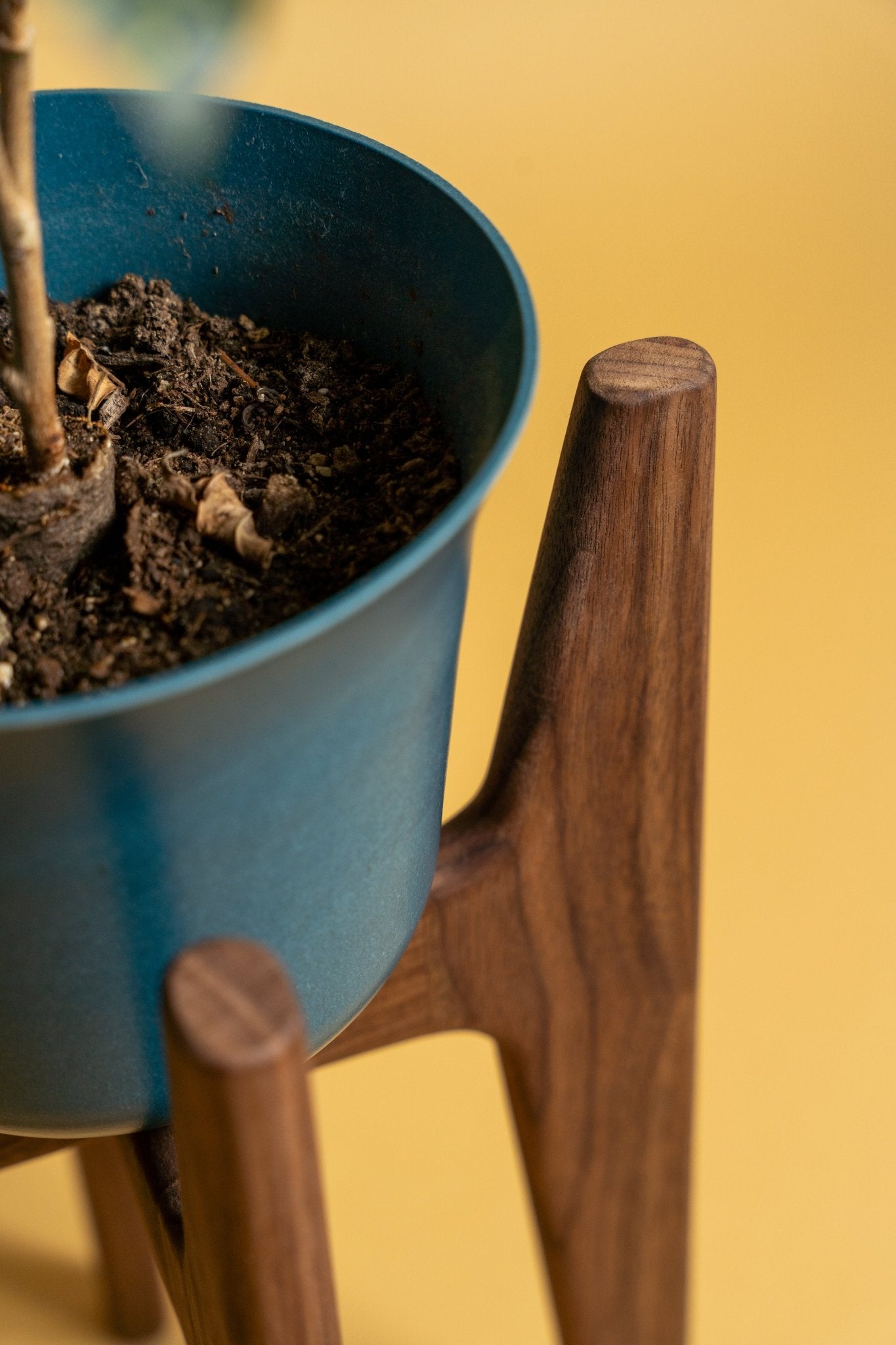 Mid Century Modern Plant Stand - Black Walnut